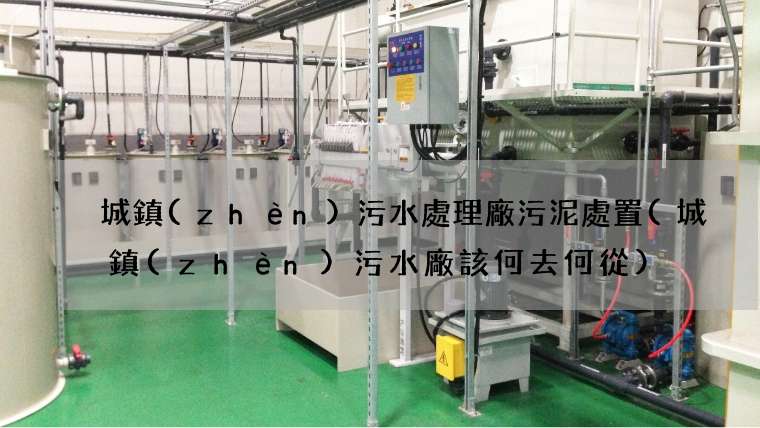 城鎮(zhèn)污水處理廠污泥處置(城鎮(zhèn)污水廠該何去何從)